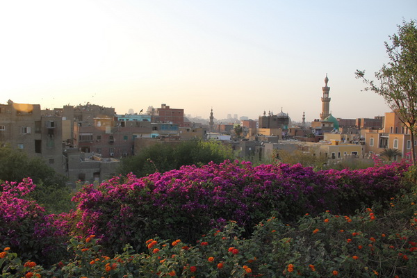 Cairo 2013
